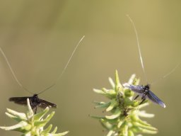 0c5a0512_4k_20200202_1240700430