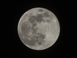 0c5a1140_4k_20200202_1577576564